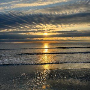 Meet your Posher, Toni